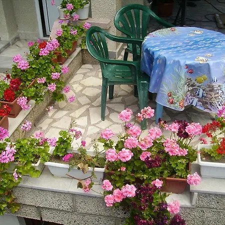 Zoya Dimitrova Sozopol