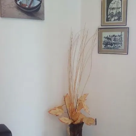 Pensjonat Zoya Dimitrova 3*