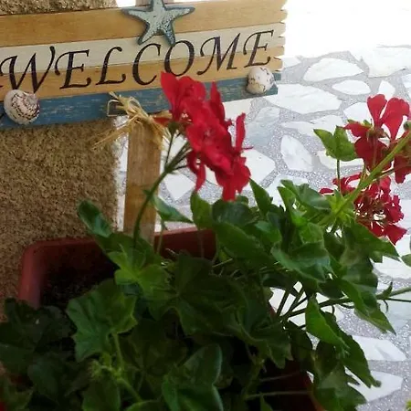 Zoya Dimitrova Guest house